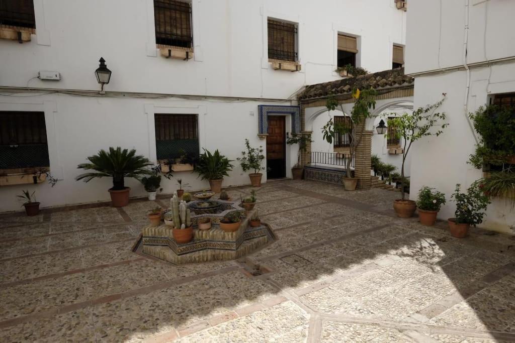 Medina Paradise コルドバ エクステリア 写真