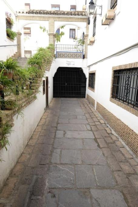 Medina Paradise コルドバ エクステリア 写真